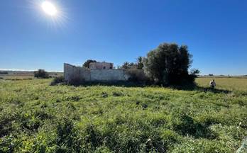 29 terrenos y fincas en venta monforte del cid