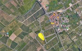 venta terrenos solares guardamar de la safor guardamar de la safor