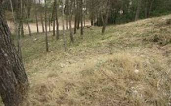 19 terrenos y fincas en venta piera