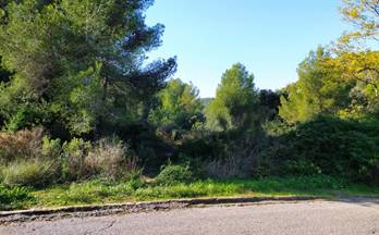 40 terrenos y fincas en venta roda de bara