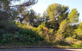 venta terrenos solares calafell mas romeu