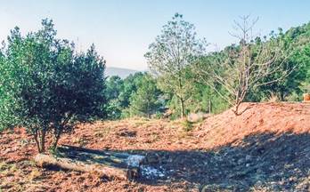 1 terrenos y fincas en venta vacarisses