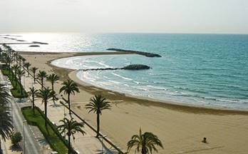 56 terrenos y fincas en venta el vendrell