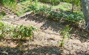 84 terrenos y fincas en venta sant andreu de la barca