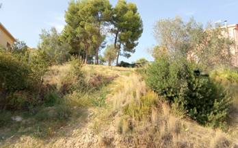 85 terrenos y fincas en venta castellvi de rosanes