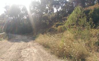 59 terrenos y fincas en venta begues