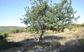 64 terrenos y fincas en venta garraf barcelona