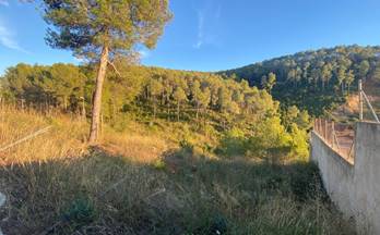 87 terrenos y fincas en venta castellvi de rosanes