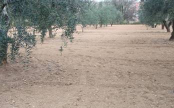 venta terrenos solares els hostalets de pierola can pujades