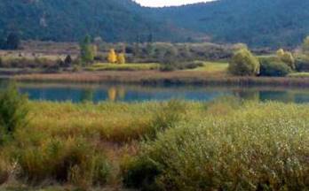 1 terrenos y fincas en venta henarejos