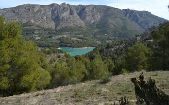 venta terrenos solares benimantell 