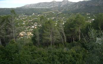 18 terrenos y fincas en venta barraca de aguas vivas