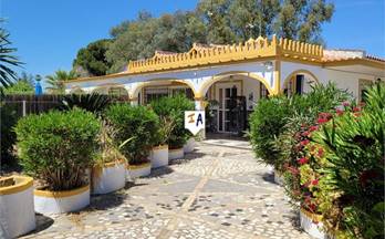 2 casas en venta marchena