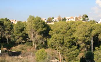 179 terrenos y fincas en venta benissa