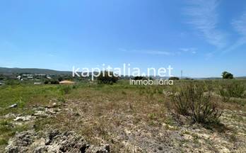 106 terrenos y fincas en venta alfarrasi