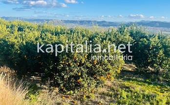 86 terrenos y fincas en venta benisuera