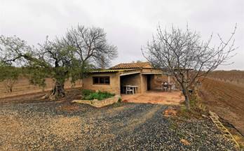 venta finca rustica reus afores