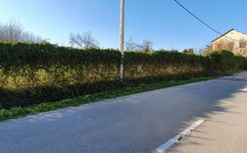 venta terrenos solares camponaraya narayola