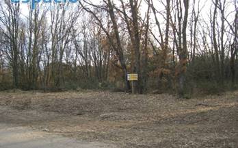 6 terrenos y fincas en venta cueto