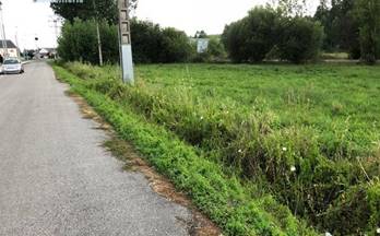 65 terrenos y fincas en venta columbrianos