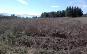 venta terrenos solares barcena del bierzo pueblo