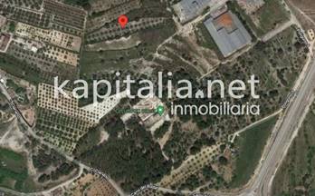 257 terrenos y fincas en venta resto provincia valencia