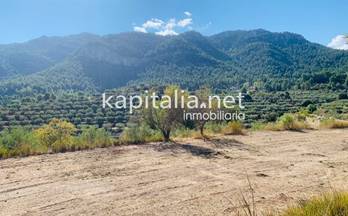 6 terrenos y fincas en venta alfafara