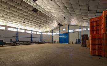 1 naves en venta massalcoreig