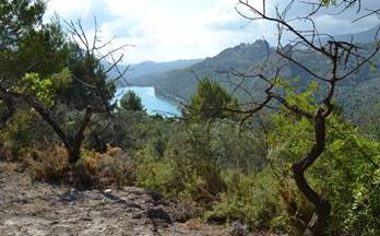 76 terrenos y fincas en venta callosa d´en sarria
