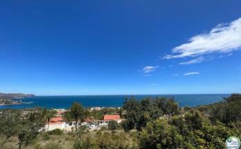 2 terrenos y fincas en venta llança