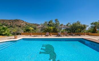 7 casas en venta tolox