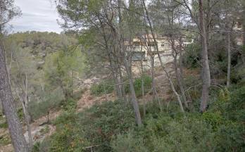 56 terrenos y fincas en venta olivella