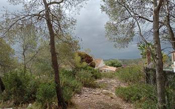 venta terrenos solares olivella can suria