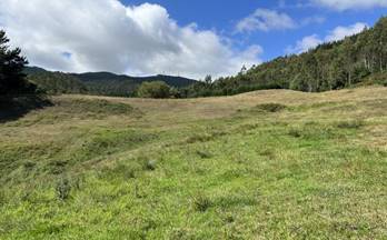 venta terrenos solares llanera 