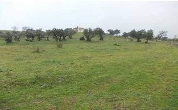 venta terrenos solares plasencia polígono