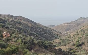 venta terrenos solares malaga olías