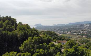 163 terrenos y fincas en venta moraira