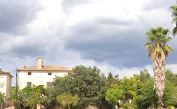 31 terrenos y fincas en venta calvia