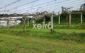 venta finca rustica resto provincia besomaño