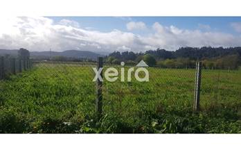 5 terrenos y fincas en venta moraña