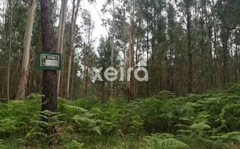venta terrenos solares vilanova de arousa andras