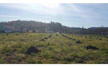 venta finca rustica saiar sayar