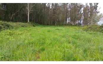 venta finca rustica isla de arosa isla de arosa