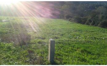 venta finca rustica saiar sayar