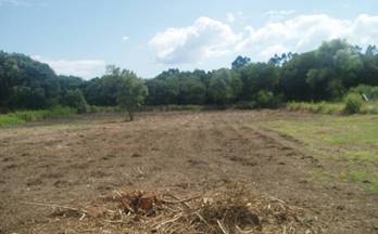 terrenos solares en venta saiar