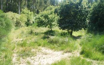 109 terrenos y fincas en venta pontevedra provincia