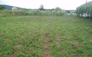 venta terrenos solares pontecesures pontecesures