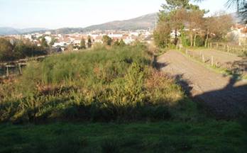 50 terrenos y fincas en venta carril