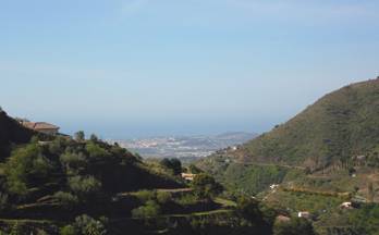 74 terrenos y fincas en venta almayate bajo