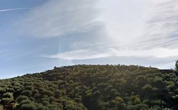 89 terrenos y fincas en venta benamocarra